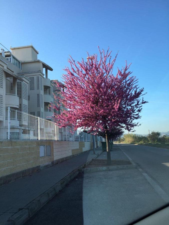 Ferienwohnung Planta Baja Playa Sol 2 Dénia Exterior foto